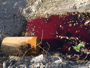 Dépollution de site